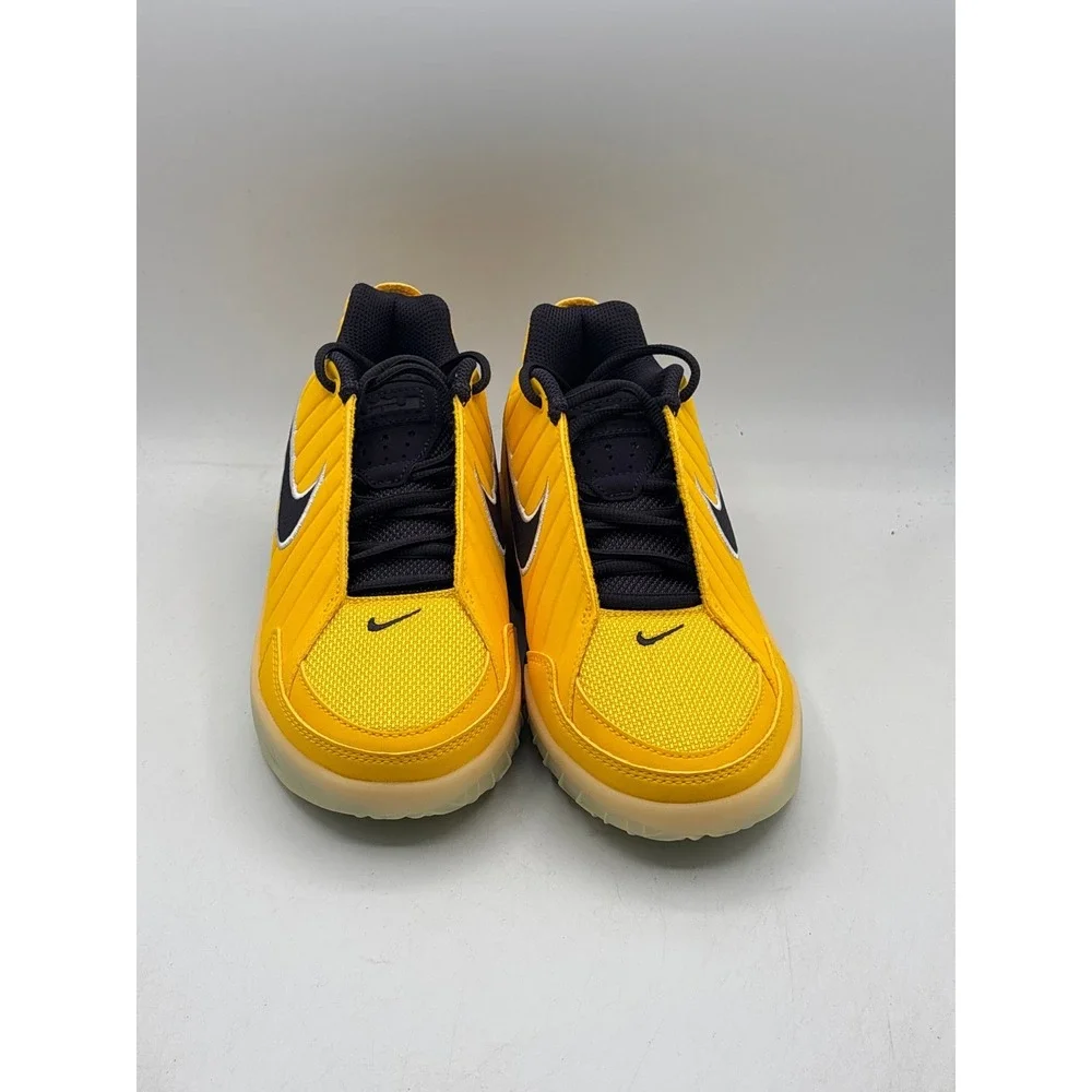 Nike lebron witness